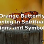 Orange Butterfly Meaning in Spirituality: Signs and Symbols