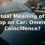 Spiritual Meaning of Bird Poop on Car: Omen or Coincidence?