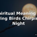 Spiritual Meaning of Hearing Birds Chirping at Night