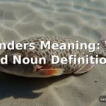flounders meaning