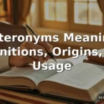heteronyms meaning