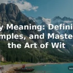 witty meaning